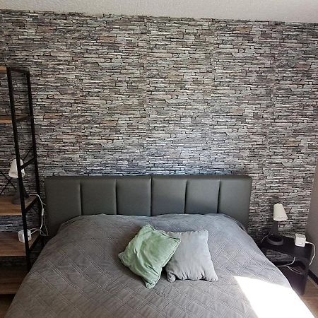 Appartement "Les Calins" Ney エクステリア 写真