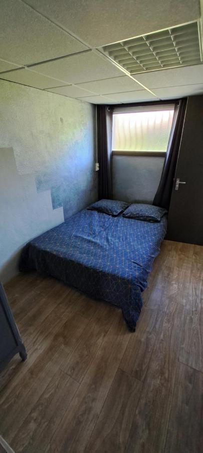 Appartement "Les Calins" Ney エクステリア 写真